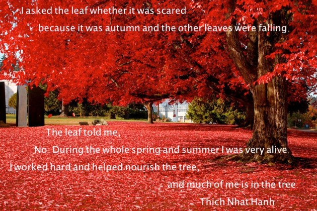 Thich Nhat Hanh gives an uncommon perspective.