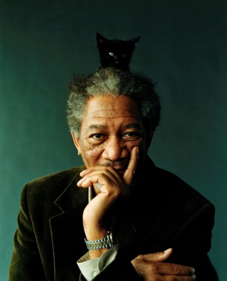 Freeman Kitty